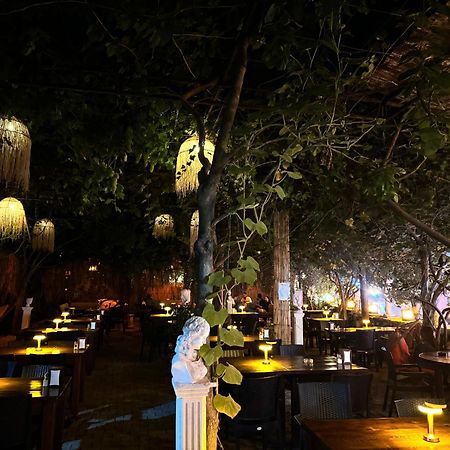 Mercan Pension Olympos Kültér fotó