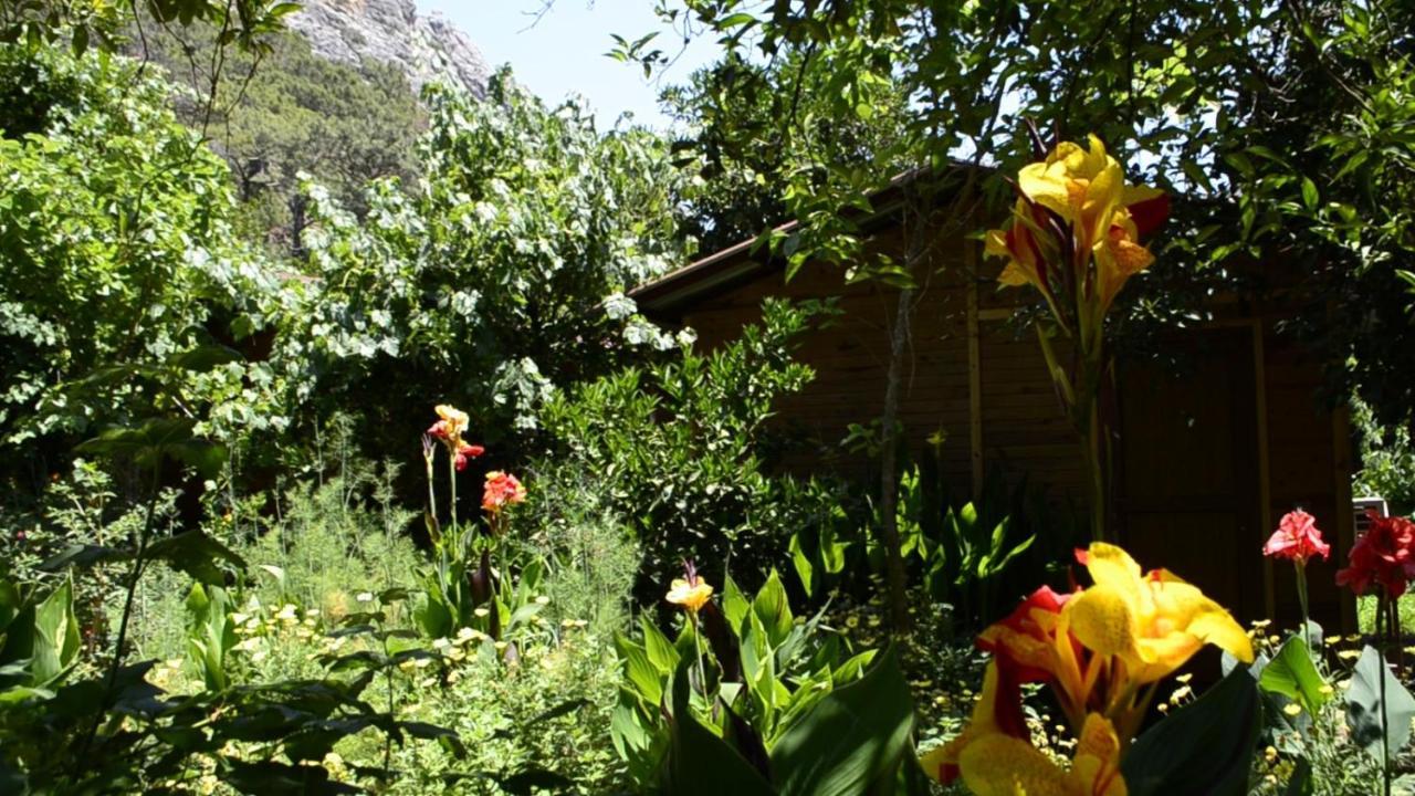 Mercan Pension Olympos Kültér fotó